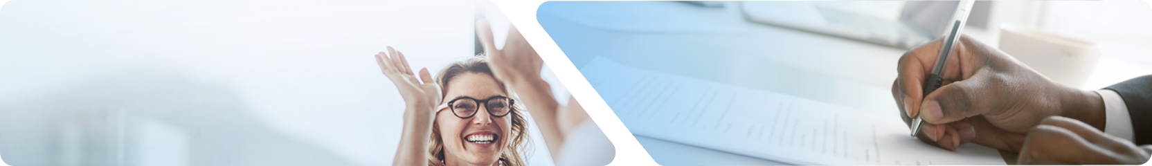 Banner Partners